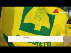 19112025_VIDEONEWS_1400_2.mp4