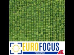 Accordo sul clima in vista della Cop30