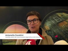 Agricoltura: Forattini (Pd), ‘per il futuro guardare all’Europa’