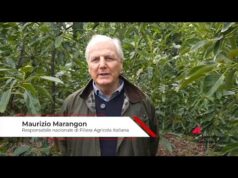 Agricoltura, Marangon (Fai): “L’Italia è diventata grande con le zone vocate”