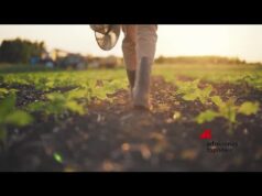 Agricoltura: presentato a Roma il Manifesto per il Biocontrollo, l’alleanza per il futuro delle