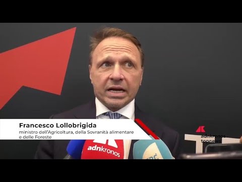 Agroalimentare: Lollobrigida, ‘export italiano in costante crescita nonostante complessità