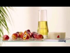 Alimentazione: il ruolo sostenibile dell’olio di palma al Sigep di Rimini