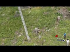 Ambiente: Sanpellegrino, ‘interventi su 51 ettari di bosco in Alta Valtellina dopo tempesta Vaia’