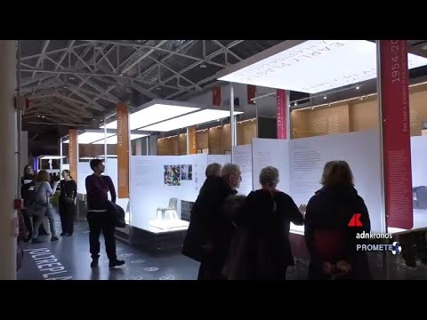 Arte: a Milano la mostra ‘Oltreplastica’ all’Adi Design Museum