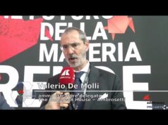 De Molli: “Italia, il Paese più esposto in Europa sulla dipendenza dalle materie prime critiche”