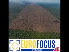 Deforestazione, l’Europa cambia strada e la sinistra protesta