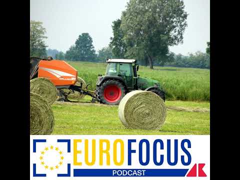 Fertilizzanti, la guerra in Iran riavvicina Italia e Francia