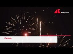 Fuochi d’artificio e botti, l’appello della comunità scientifica: “Sono un vero stress per cani e