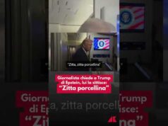 Giornalista chiede a Trump di Epstein, lui la zittisce: “Zitta porcellina”