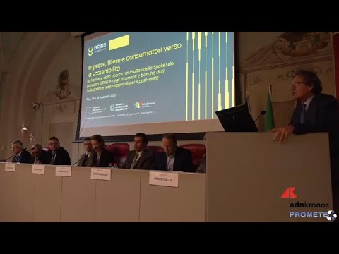 Grins: nuovi strumenti digitali per la sostenibilità delle imprese italiane