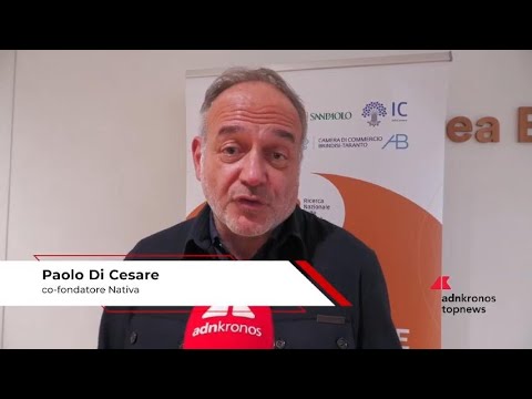 Imprese: Di Cesare (Nativa), ‘in 10 anni oltre 5mila società benefit’