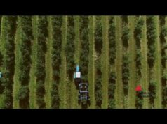 Imprese, Syngenta compie 25 anni tra sostenibilità e innovazione