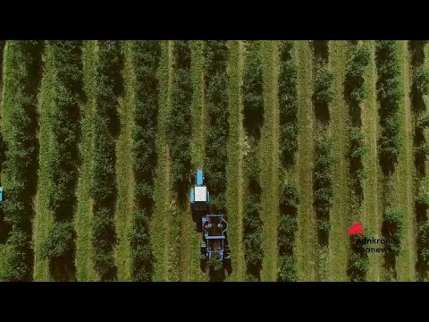 Imprese, Syngenta compie 25 anni tra sostenibilità e innovazione