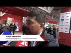 Imprese: ass. Mammi (Emilia Romagna), ‘Marca può rafforzare dimensione e collaborazione filiere’