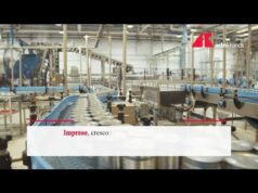 Imprese, crescono digitale green ed energia: giù manifattura e commercio