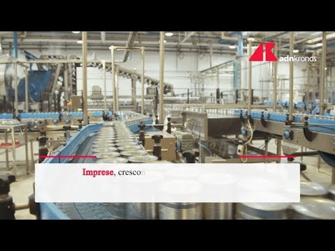 Imprese, crescono digitale green ed energia: giù manifattura e commercio