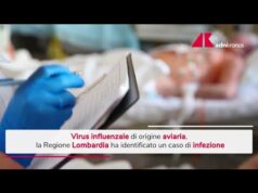Influenza aviaria, identificato in Lombardia un caso umano