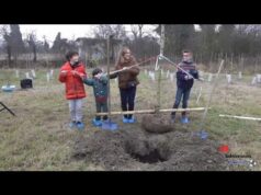 KilometroVerdeParma raggiunge i 100mila alberi