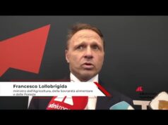 Mercosur: Lollobrigida, ‘chieste regole chiare a difesa degli agricoltori’