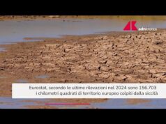 Nel 2024 la siccità ha colpito quasi 157mila chilometri quadrati di territorio Ue