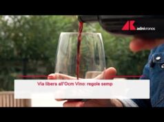 Ocm Vino, via libera Ue: semplificazioni ed etichette più chiare