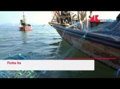 Pesca, “taglio due terzi giornate affonda flotta Italia”: allarme Coldiretti