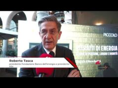 Povertà energetica: Tasca (Fondazione Banco energia), ‘in 10 anni distribuiti 15 milioni di euro’