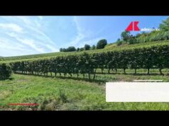 Qualità della vita in Italia, ecco la classifica 2025 di dove si vive meglio