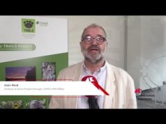 Rival (Cirad): “Progetto Trails per integrazione sostenibile tra foreste e palma da olio”