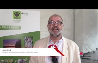 Rival (Cirad): “Progetto Trails per integrazione sostenibile tra foreste e palma da olio”