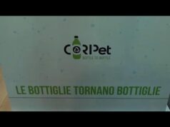 “Servono sanzioni e controlli: senza le istituzioni l’economia circolare non si chiude”