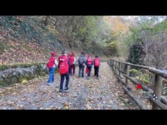 Sostenibilità: il Progetto Scuole Eon porta l’ambiente tra banchi e territorio