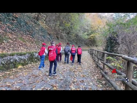 Sostenibilità: il Progetto Scuole Eon porta l’ambiente tra banchi e territorio