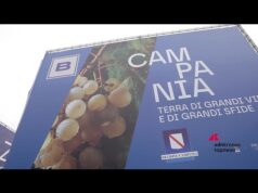 Vinitaly 2026, Campania in primo piano con le sue eccellenze