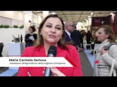 Vinitaly, Serluca: “Siamo molto contenti del risultato di aver unito Vinitaly e America’s Cup”