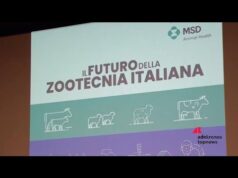 Zootecnia italiana tra sfide e rilancio: servono politiche di lungo periodo e un nuovo patto di