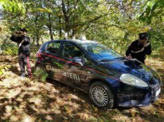 Ivrea, 16enne impiccata in un bosco carabinieri boschi