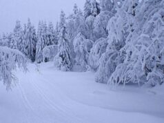 Torna la neve oltre quota 2500 valanghe neve