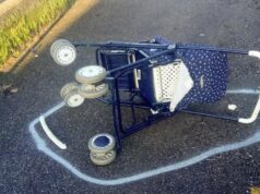 Gran Madre, Rumeno senza pietà: scippa nonna con nipotino di 1 anno