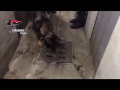 Non paga la dose, pusher sequestrano cliente – VIDEO