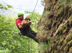 Quincinetto, Soccorso Alpino salva cani dispersi da una settimana – FOTO
