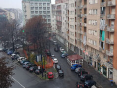 Via Borgaro, bimbo di 5 anni getta gattina dal balcone