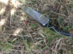 Borgo Vittoria, spunta un coltellaccio nell’area verde