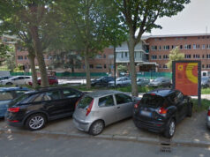 Paura in Corso Monte Grappa, grosso albero cade sulla ciclabile e auto in sosta