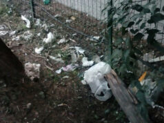 Giardino Vannucci in via Venaria, degrado e poca sicurezza