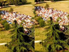 Mirafiori, tagliata l’erba nel Parco Colonnetti… solo per la preghiera dei musulmani