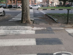 Piazza Rivoli, l’attraversamento ciclopedonale finisce contro l’albero