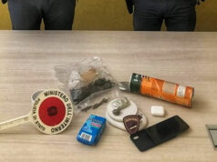 Nascondeva 40 grammi di ‘skunk’ nelle ‘Pringles’. Minorenne arrestato a Rivoli
