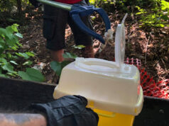 Militanti di C***Pound riqualificano i giardini di via Breglio – foto